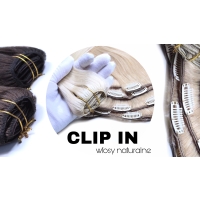 CLIP IN